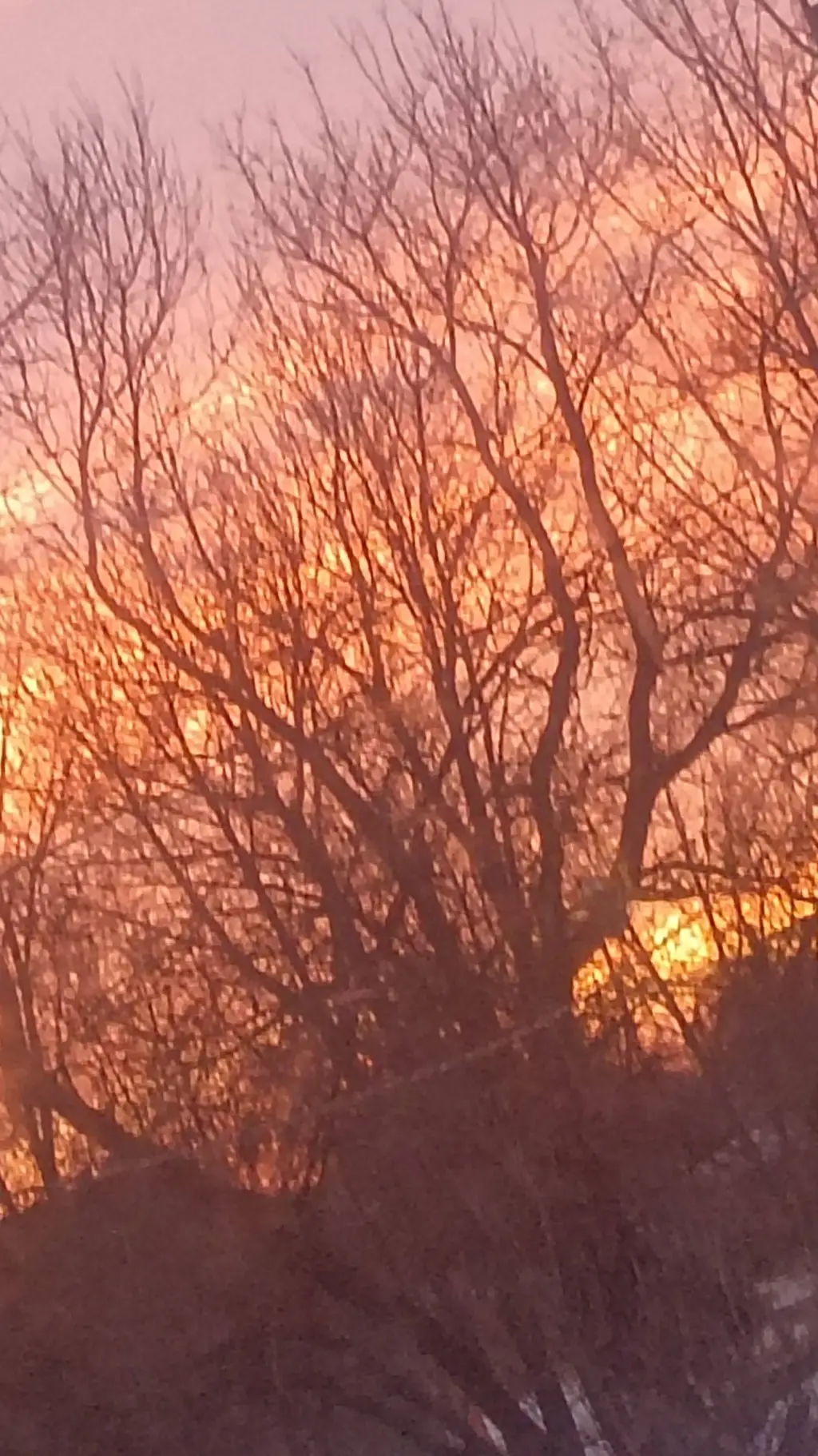 ai character: soulmate doll background