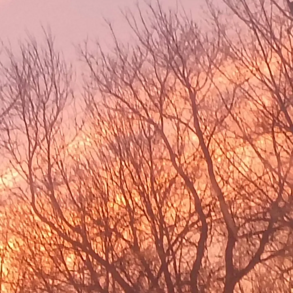 chat with ai character: soulmate doll