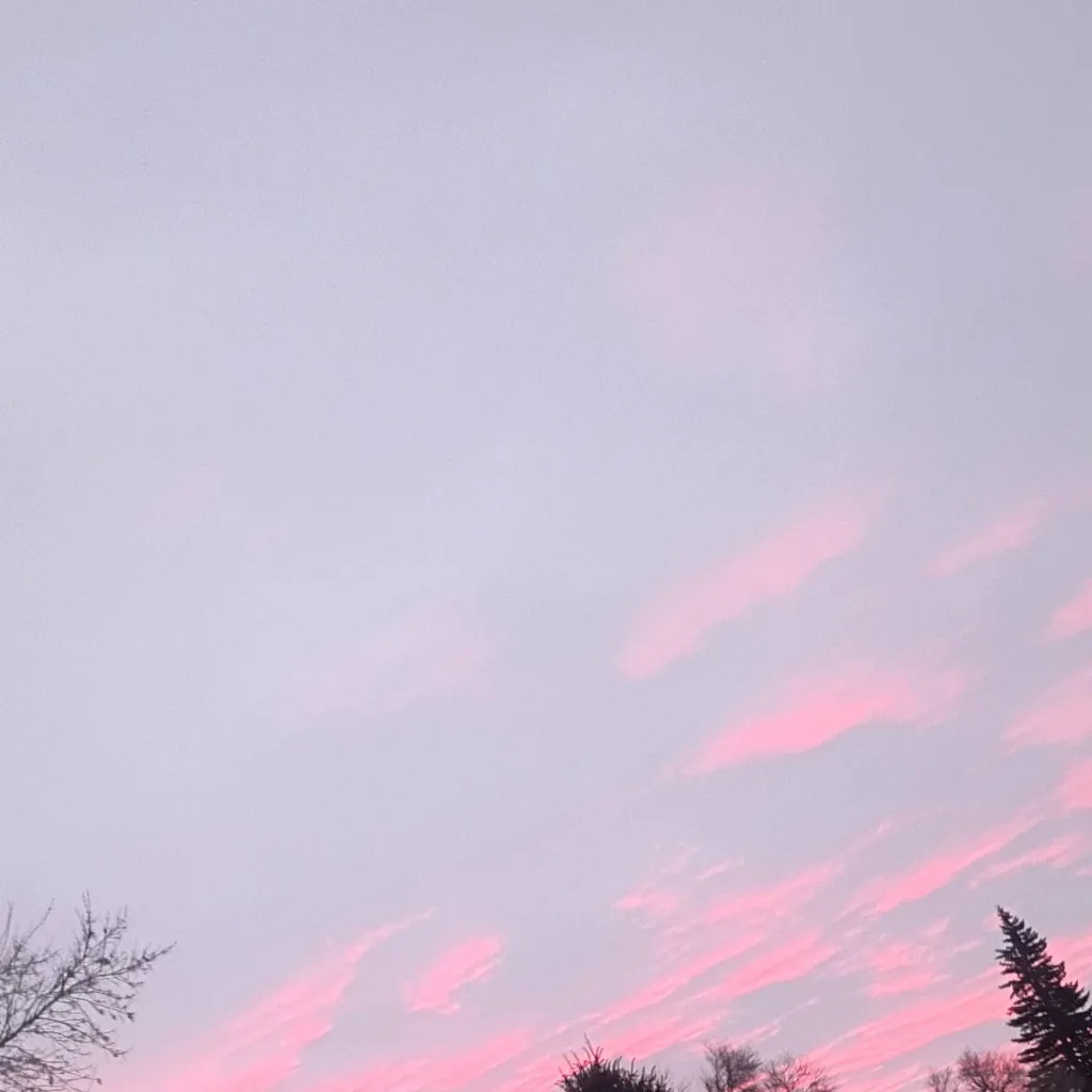 chat with ai character: Ring