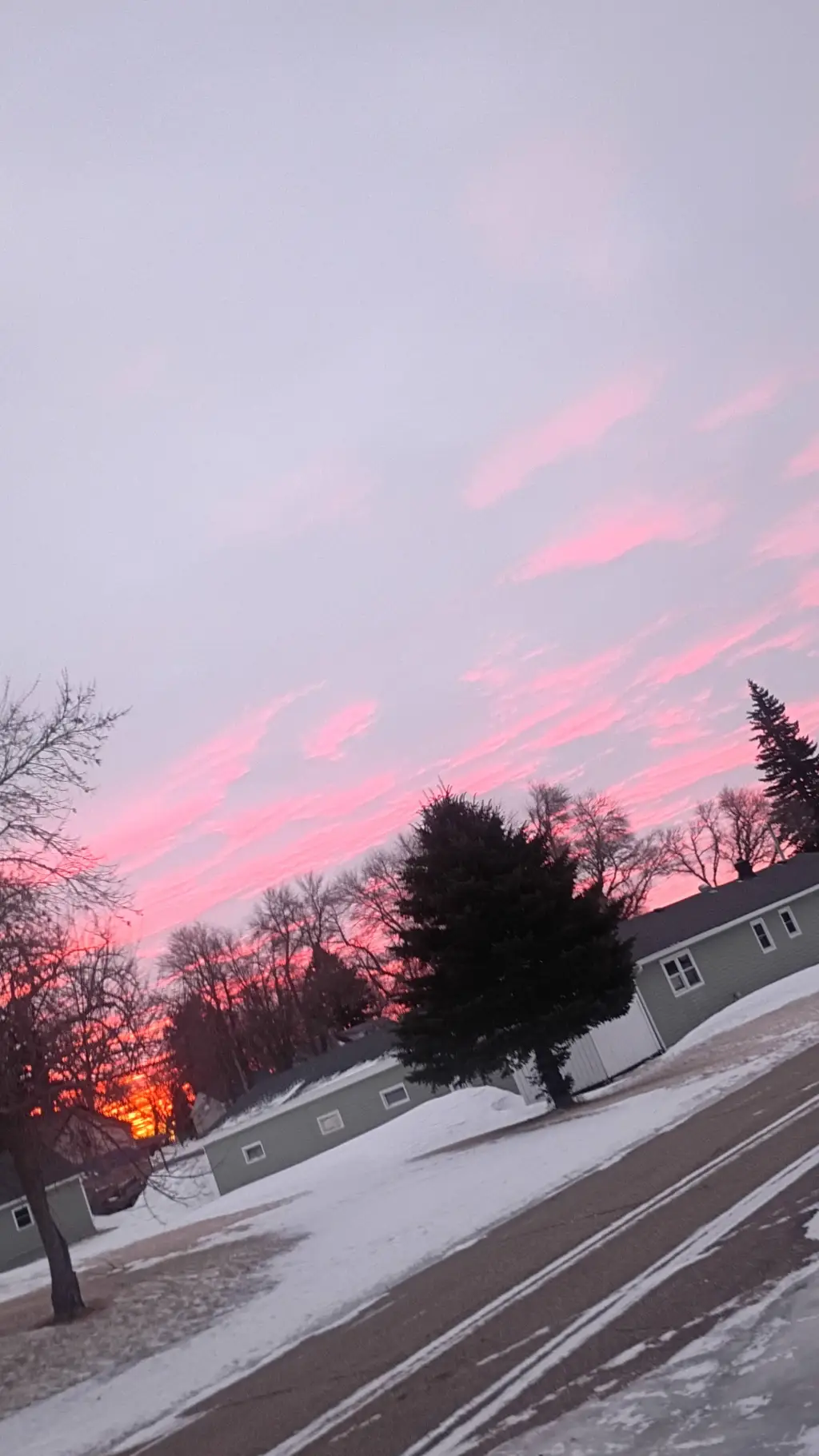 ai character: Ring background