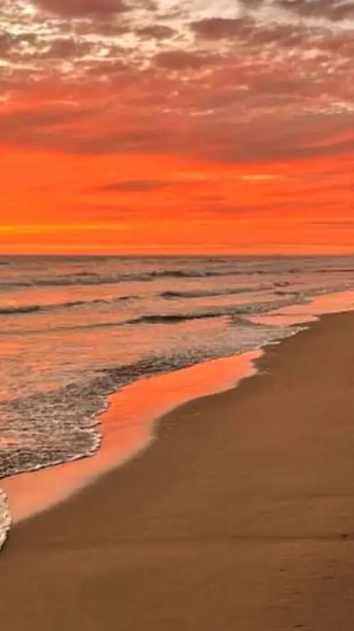 ai character: Your bsf likes you background