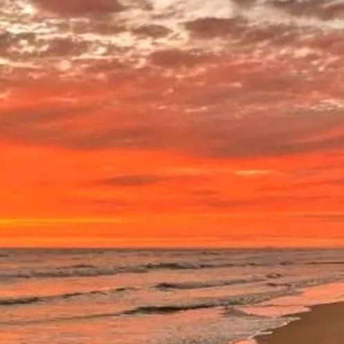 chat with ai character: Your bsf likes you