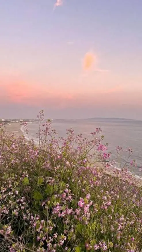 ai character: Normal boyfriend background