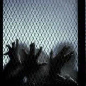 chat with ai character: Zombie apocalypse