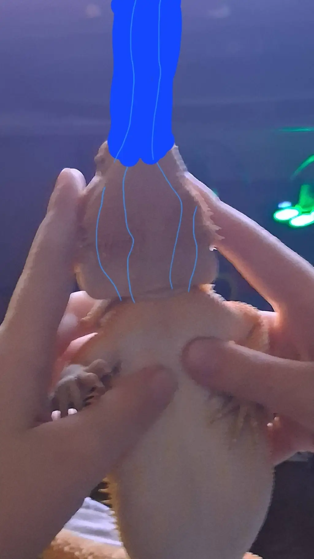 ai character: bob background