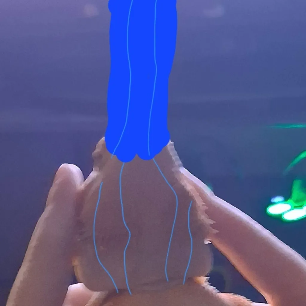 chat with ai character: bob