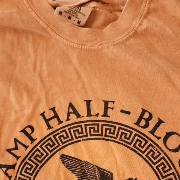 chat with ai character: PJO x ST (again!!)