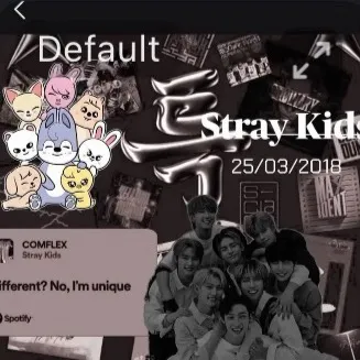 chat with ai character: Skz burnt down