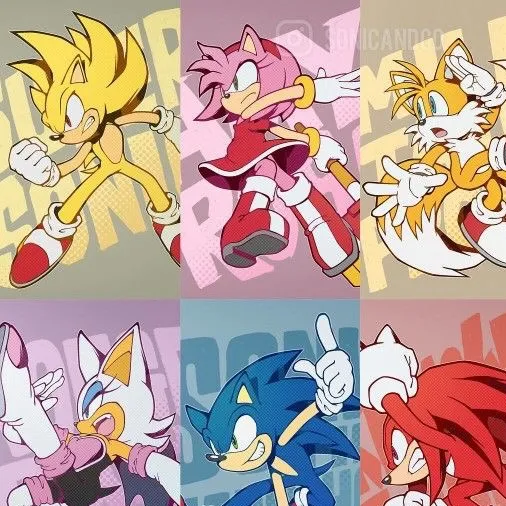 chat with ai character: 𝓢𝓸𝓷𝓲𝓬Crew