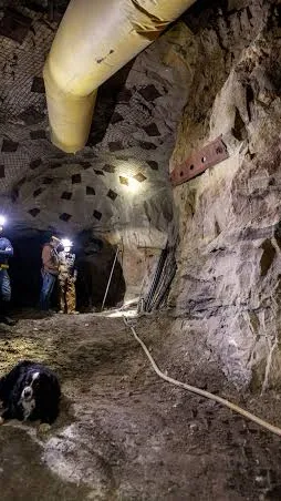 ai character: The Mines background