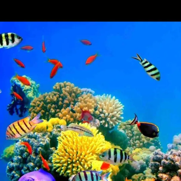 chat with ai character: fish simulator