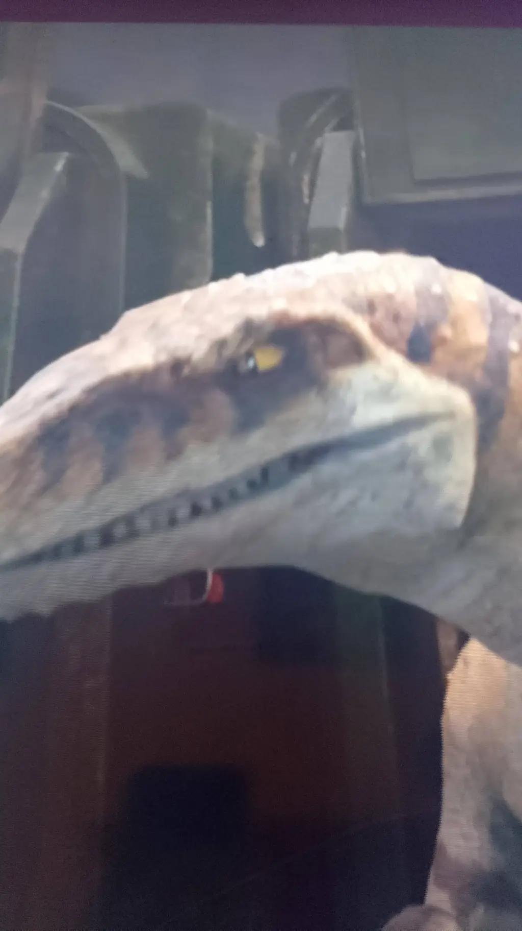 Talkie AI - Chat with atrociraptor JWCT 
