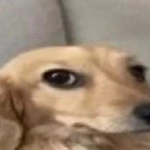 chat with ai character: kai