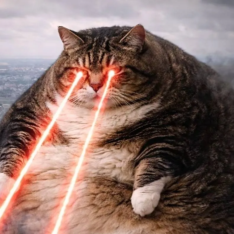 chat with ai character: catzilla