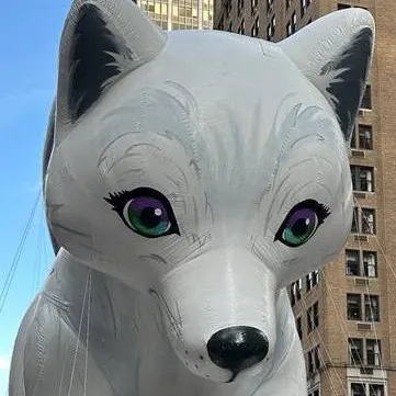 chat with ai character: Noorah Balloon 