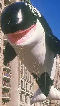 Talkie AI - Chat with Shamu Balloon