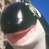 chat with ai character: Shamu Balloon