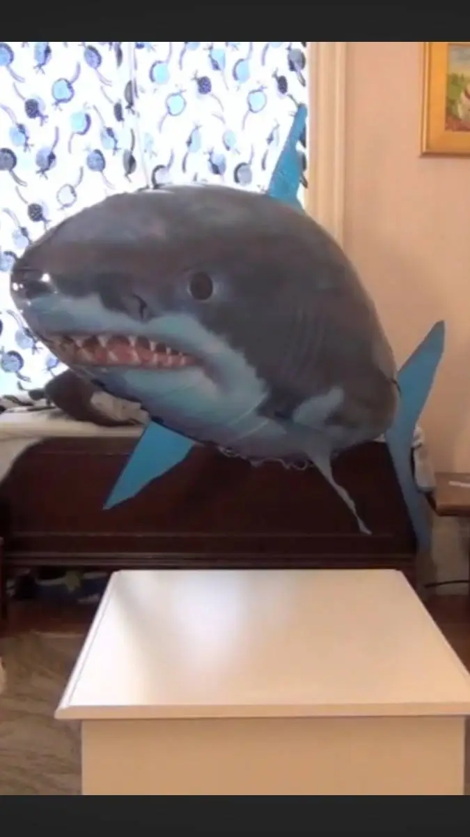 Talkie AI - Chat with Shark Balloon