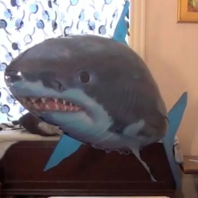 chat with ai character: Shark Balloon