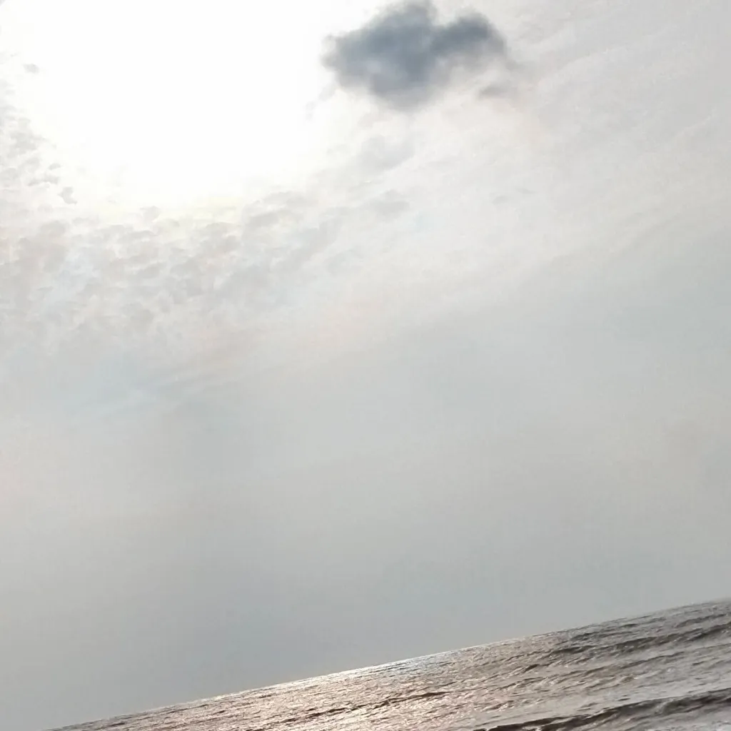 chat with ai character: Codm-Swimming