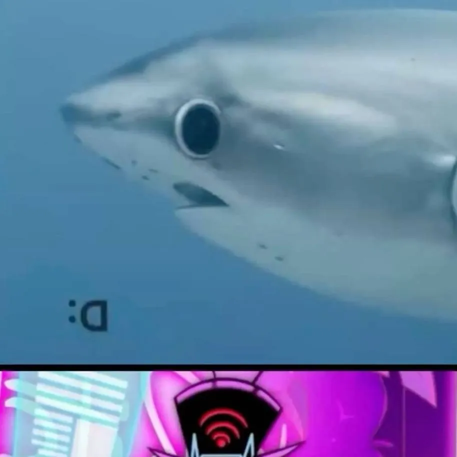 chat with ai character: 💙Vox!🦈