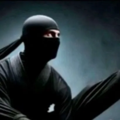 chat with ai character: Ninja pro