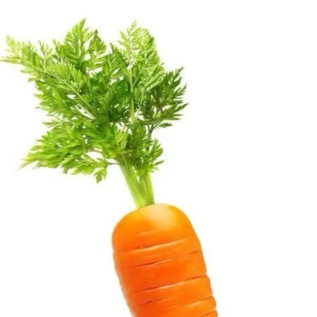 chat with ai character: Carrot