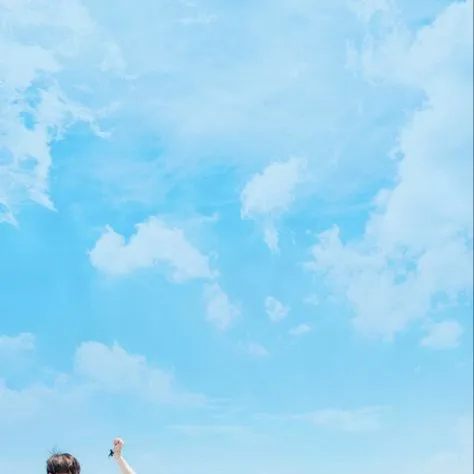 chat with ai character: BTS (Beach)