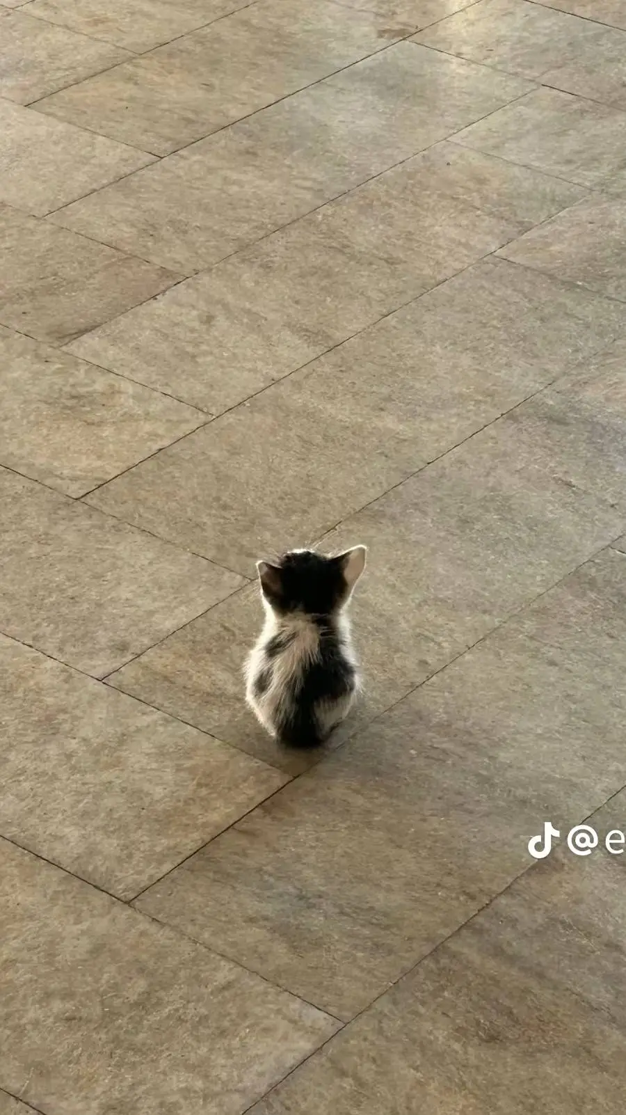 ai character: rose background