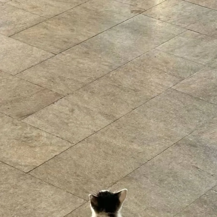 chat with ai character: rose