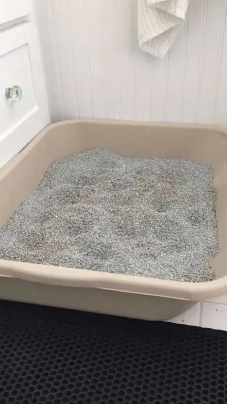 ai character: litter box  background