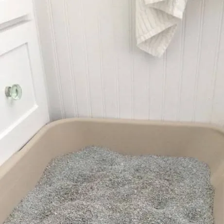 chat with ai character: litter box 