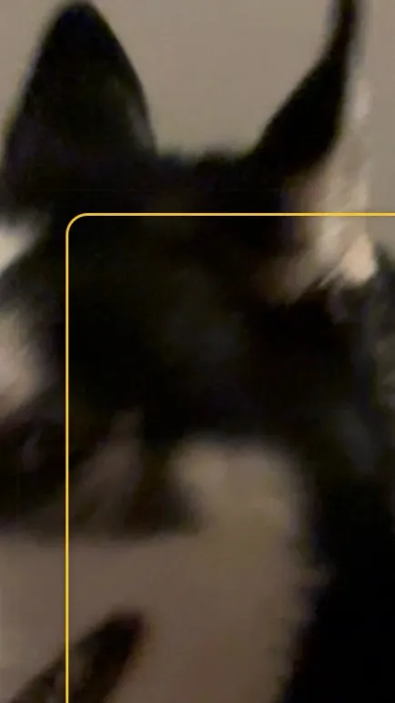 ai character: Stranger things ☆ background