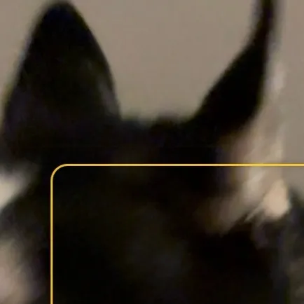 chat with ai character: Stranger things ☆