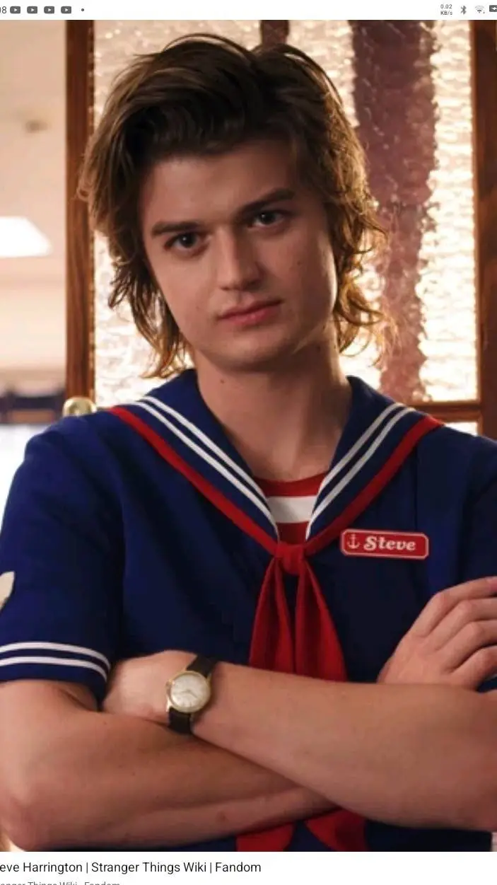 ai character: Steve Harrington background