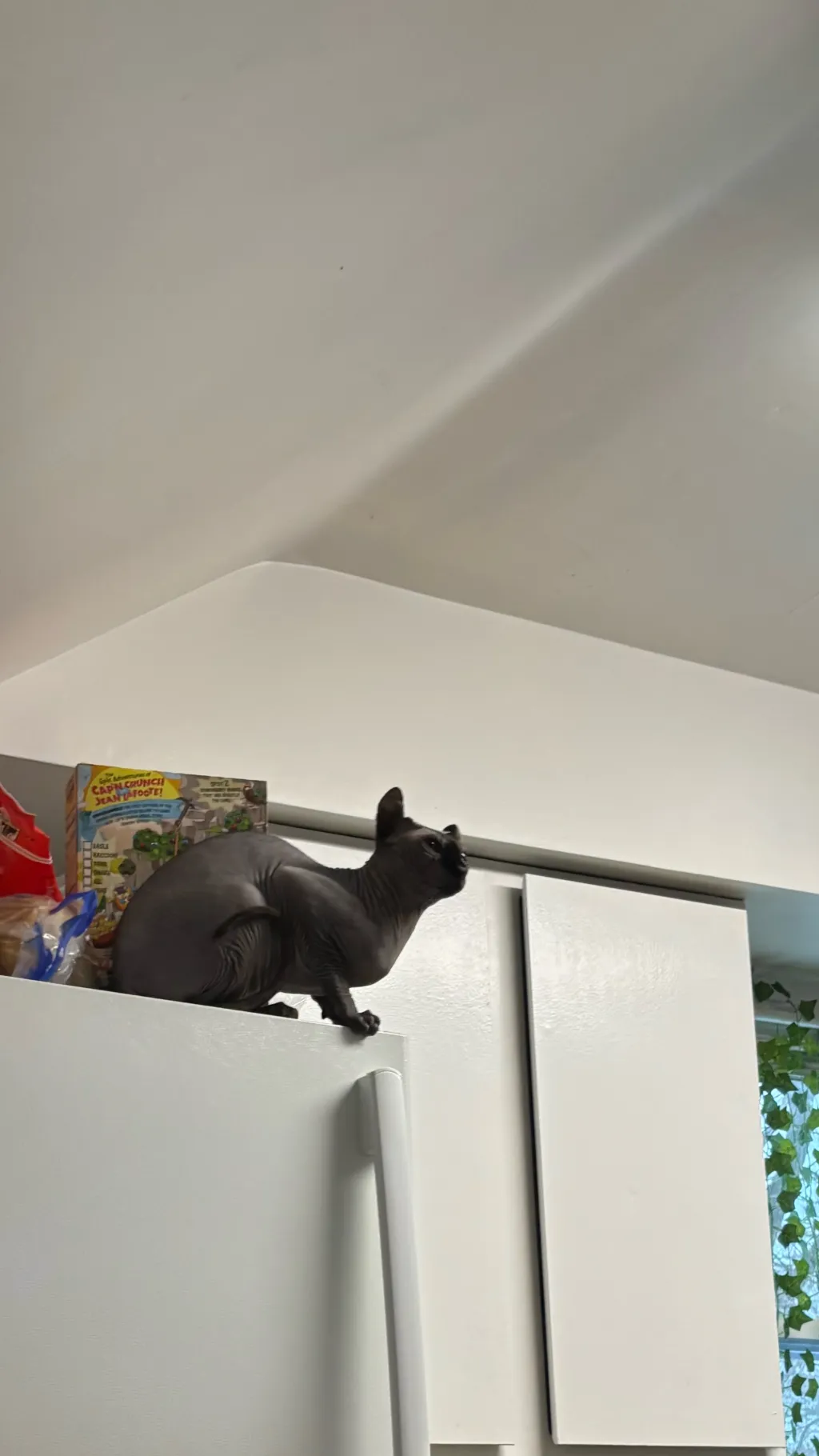 ai character: st winter!!!!!!!!! background