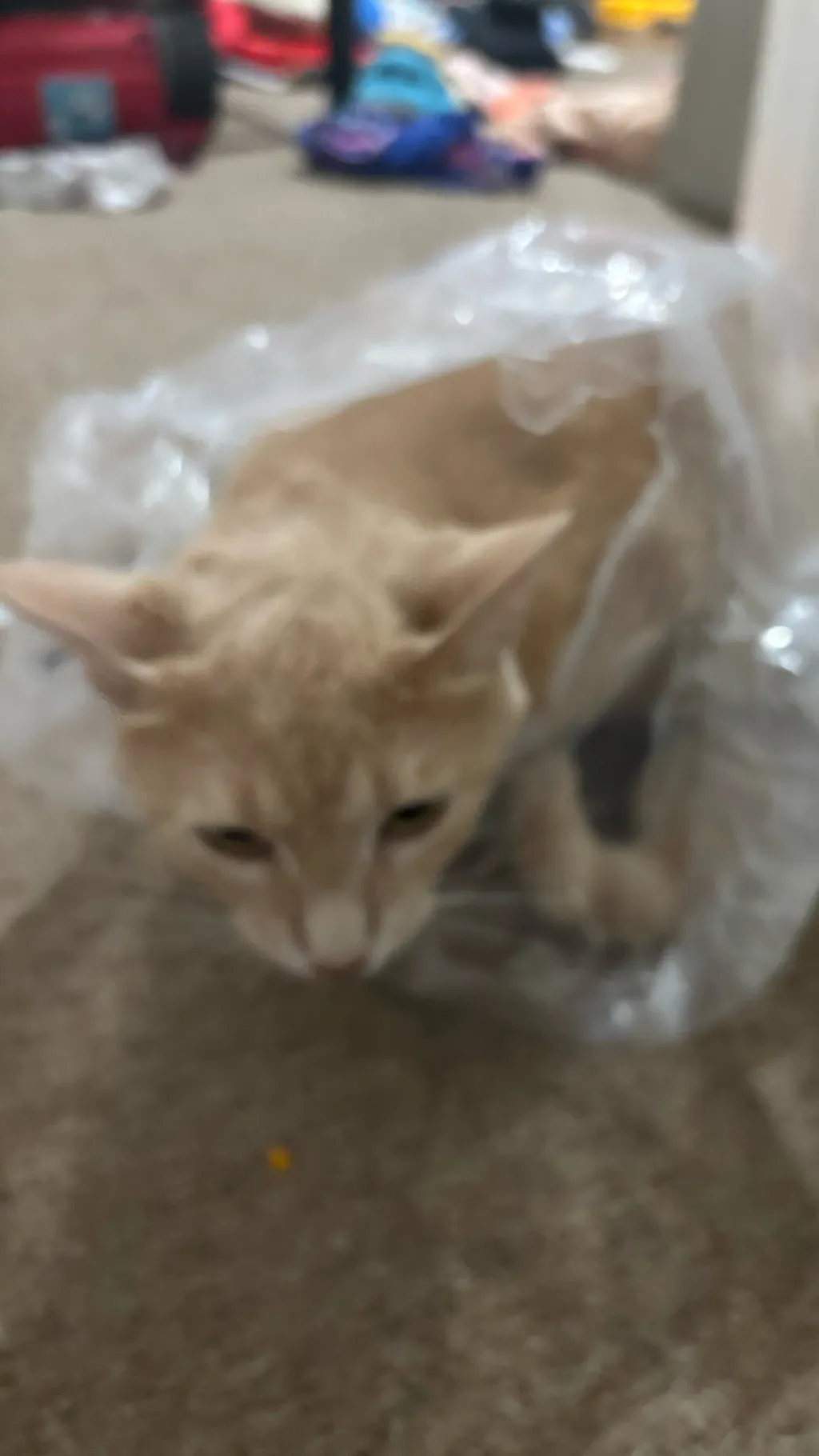 ai character: this isn’t my min  background