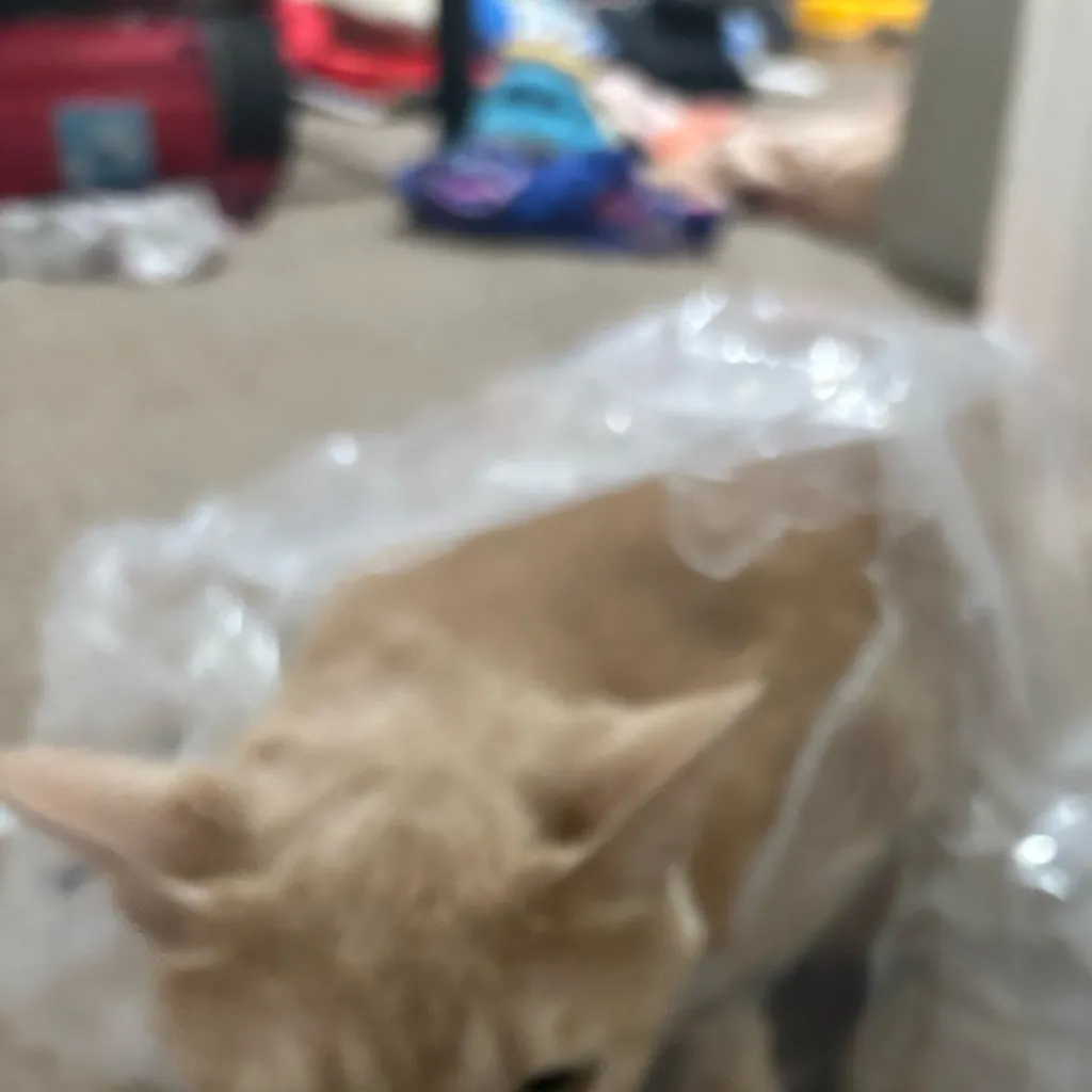 chat with ai character: this isn’t my min 