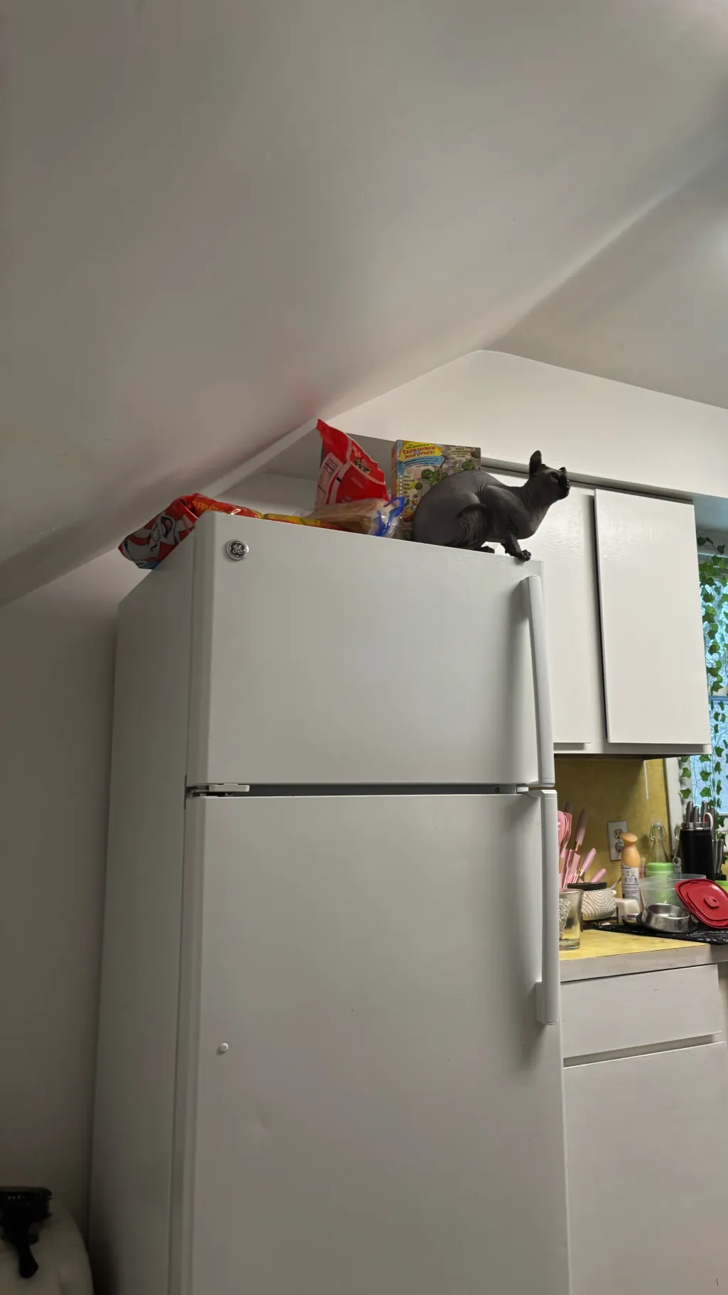 ai character: st road trip background