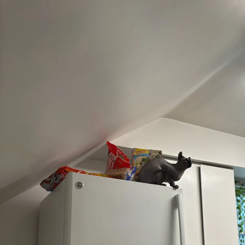 chat with ai character: st road trip