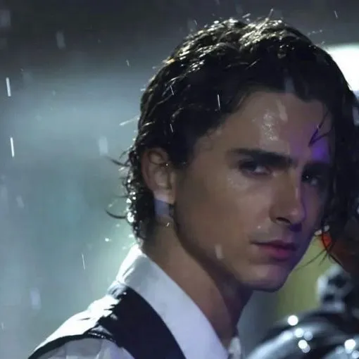 chat with ai character: Timothee Chalamet