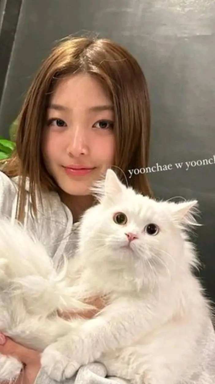 ai character: yoonchea jeung background