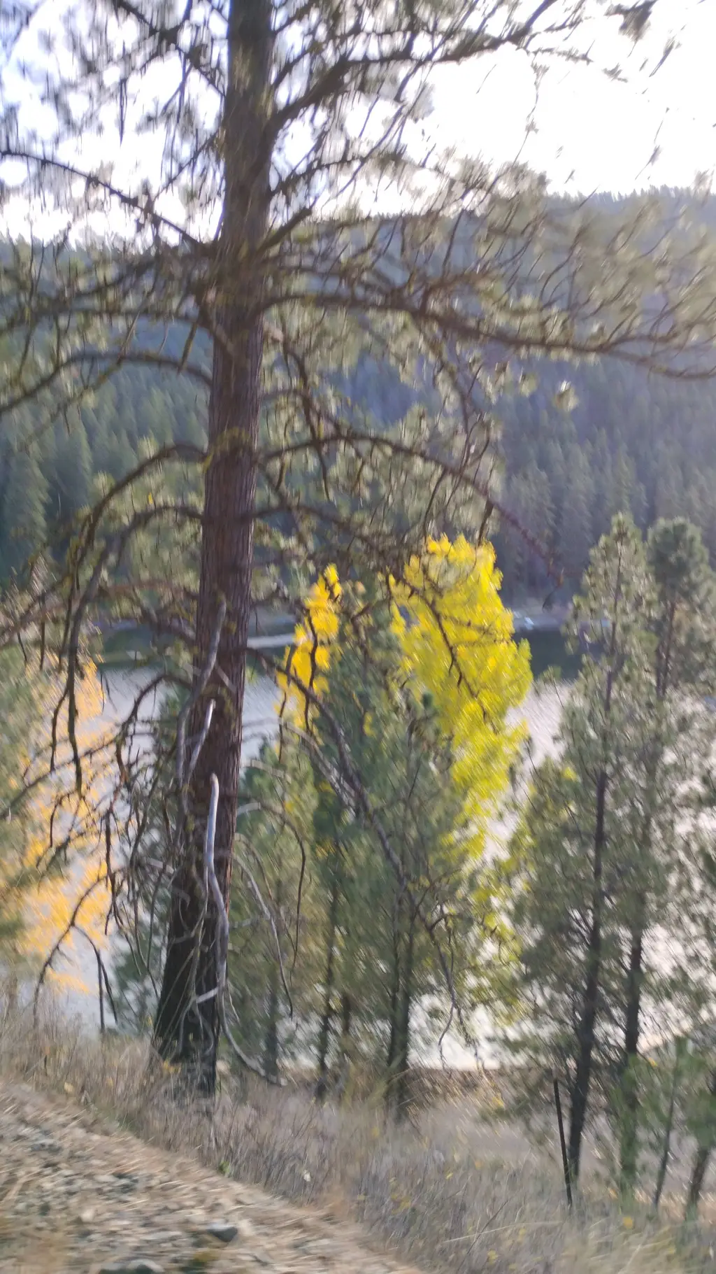 ai character: ... background