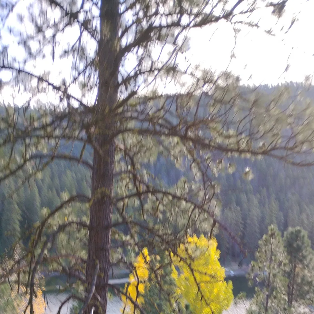 chat with ai character: ...