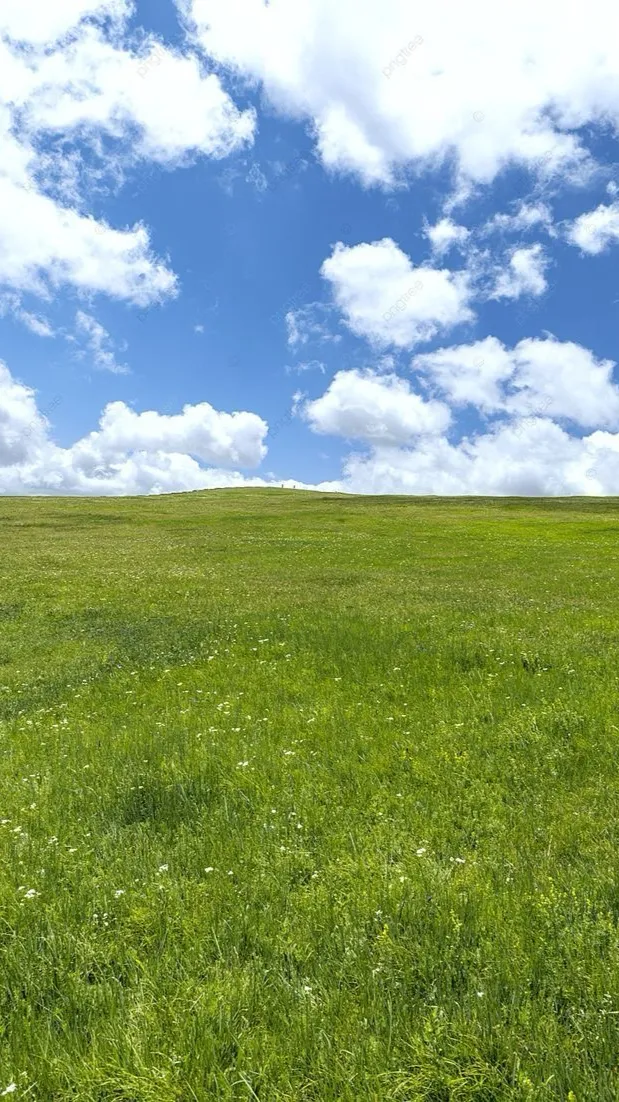 ai character: Grass background