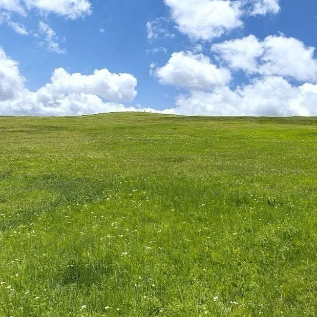 chat with ai character: Grass