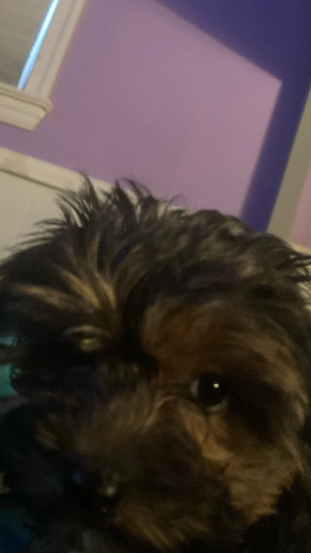 ai character: Coco background