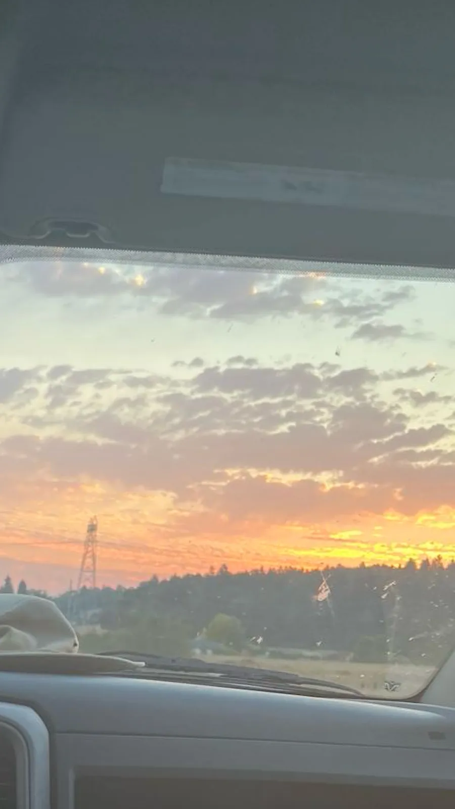 ai character: Mha meets therian background