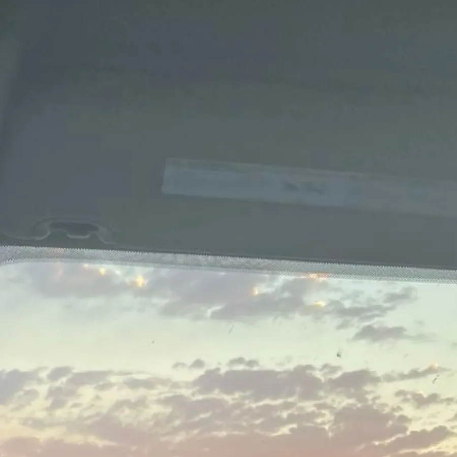 chat with ai character: Mha meets therian