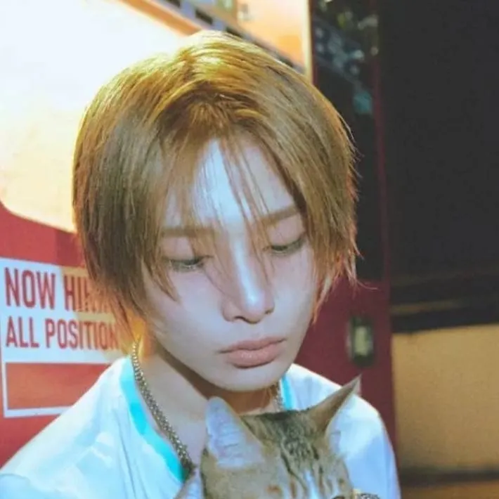 chat with ai character: Jeongin